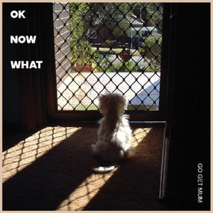 Go Get Mum - OK Now What (Meritorio) LP