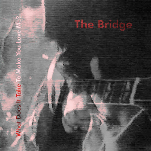 Bridge, The - What Does It Take To Make You Love Me? (Firestation) CD